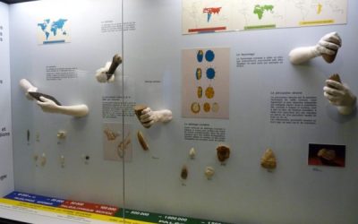 musée-departemental-de-la-prehistoire-solutre-pouilly